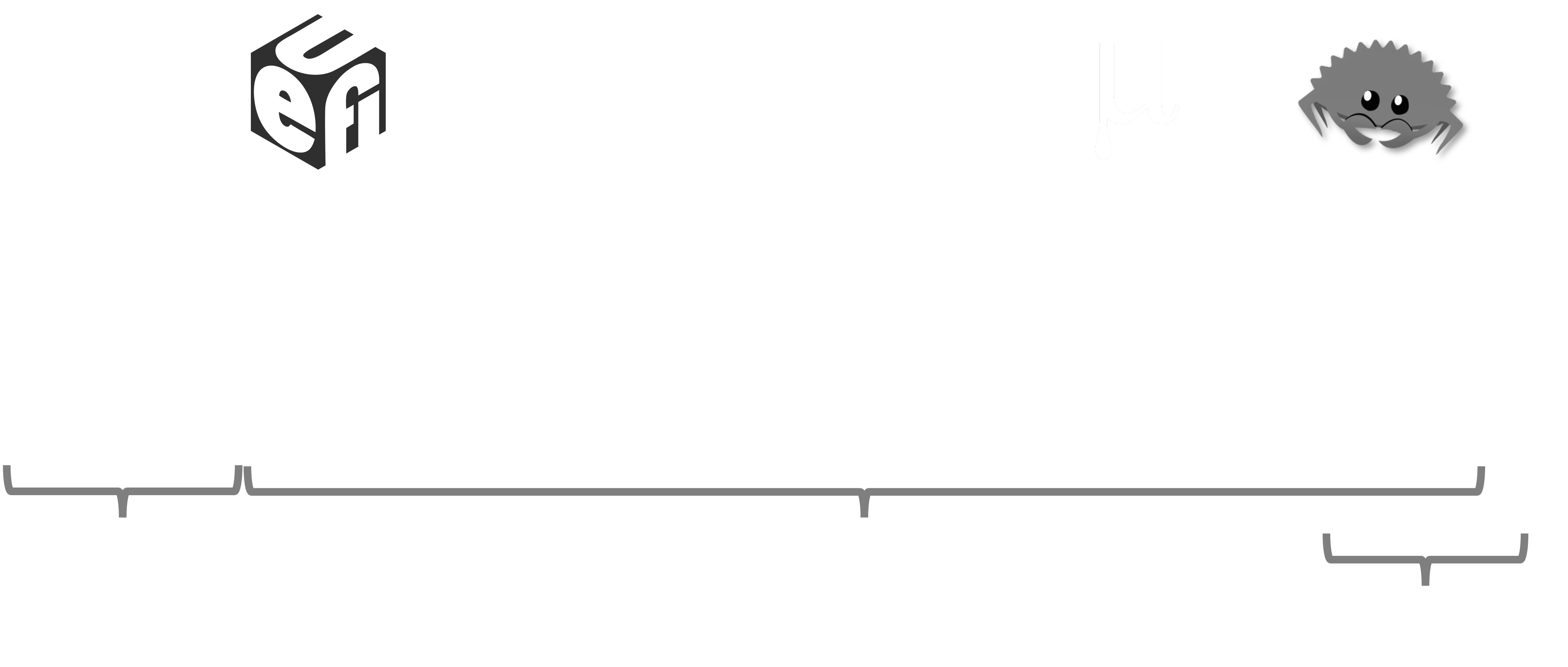 Host FW Evolution